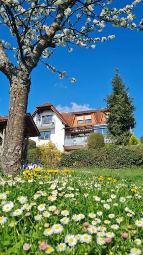 Bad Bocklet Apartment | Pension Höchemer