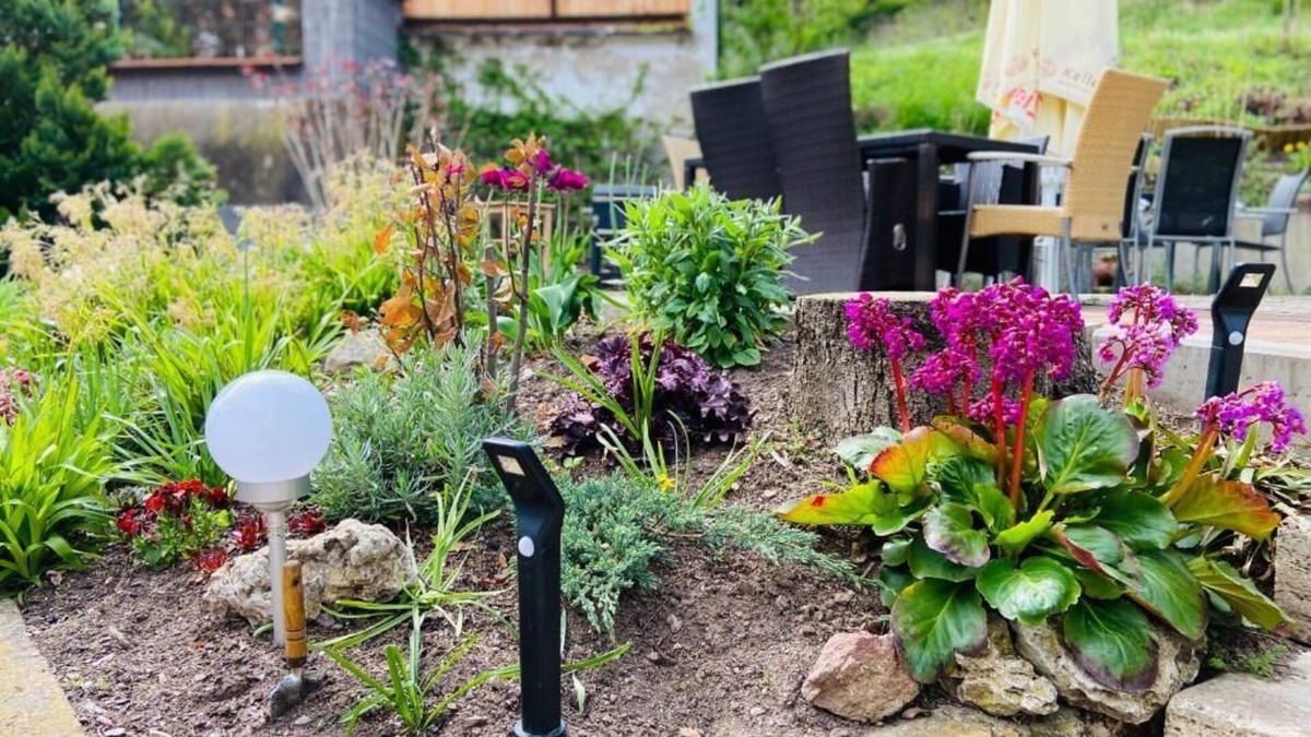 Eisenach House | Pension Katharinenschule