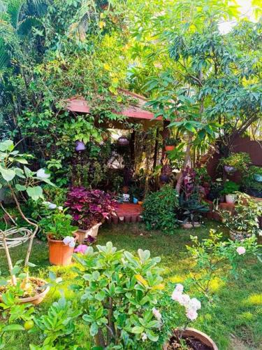 Pimpri Colony Apartment | pent house