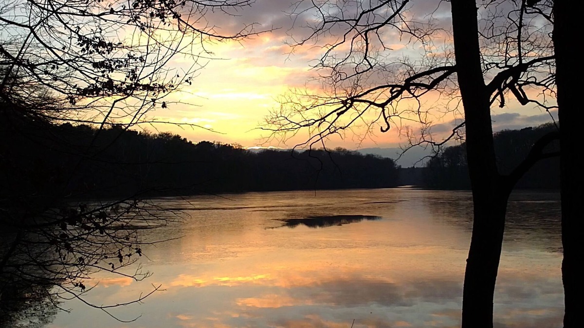 Steglitz-Zehlendorf Apartment | Penthouse Mexikoplatz