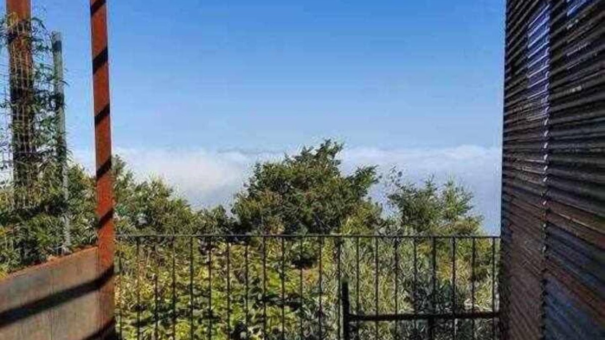 Lousa Apartment | Pera da Serra - Turismo Rural Casa R - T0