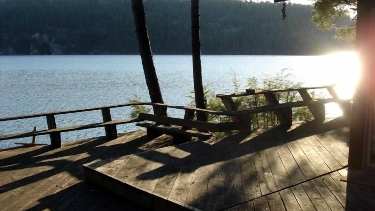 Orland Cabin | Perfect Lakeside Getaway - Craig's Pond Cabin (45m from Acadia National Park)