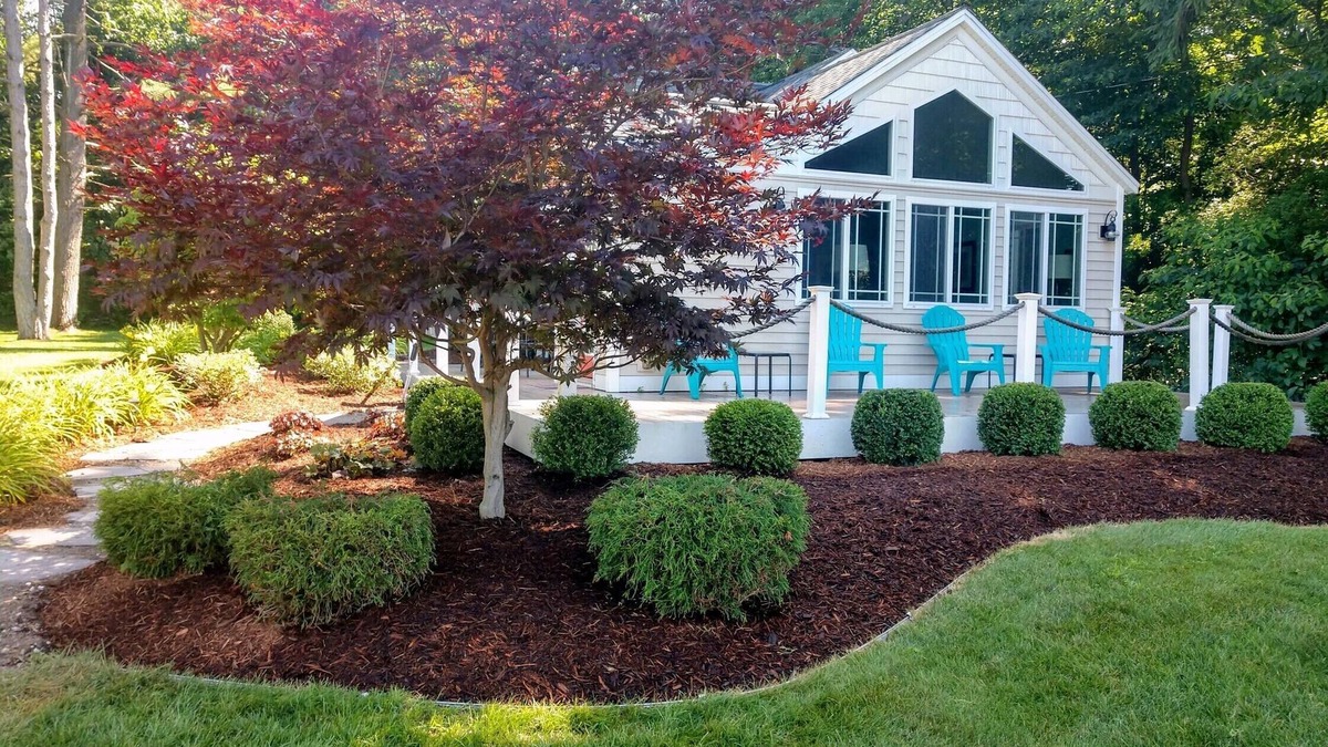 Waukazoo Woods Cottage | Perfect Little Cottage