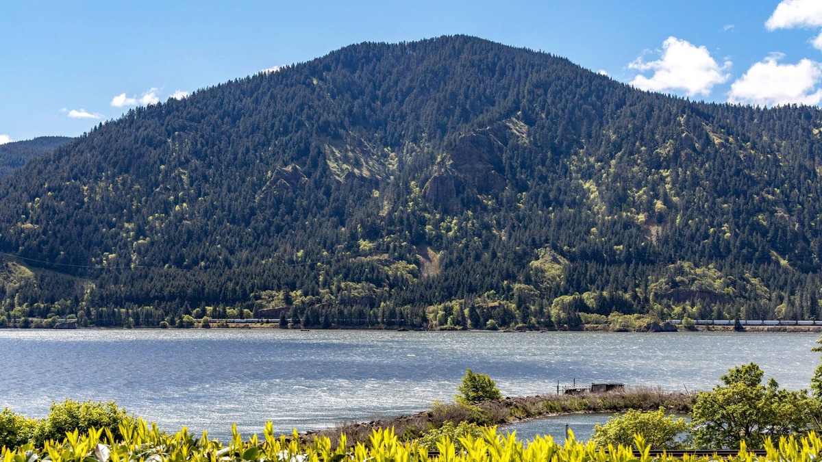 Bingen House | Perfect River Location and Views! Amazing Remodel!