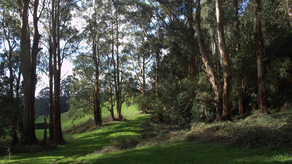 Carlisle River House | Perfect Tiny House in Nature