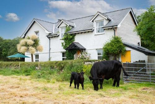 Brynrefail House | Perthi-Uchaf
