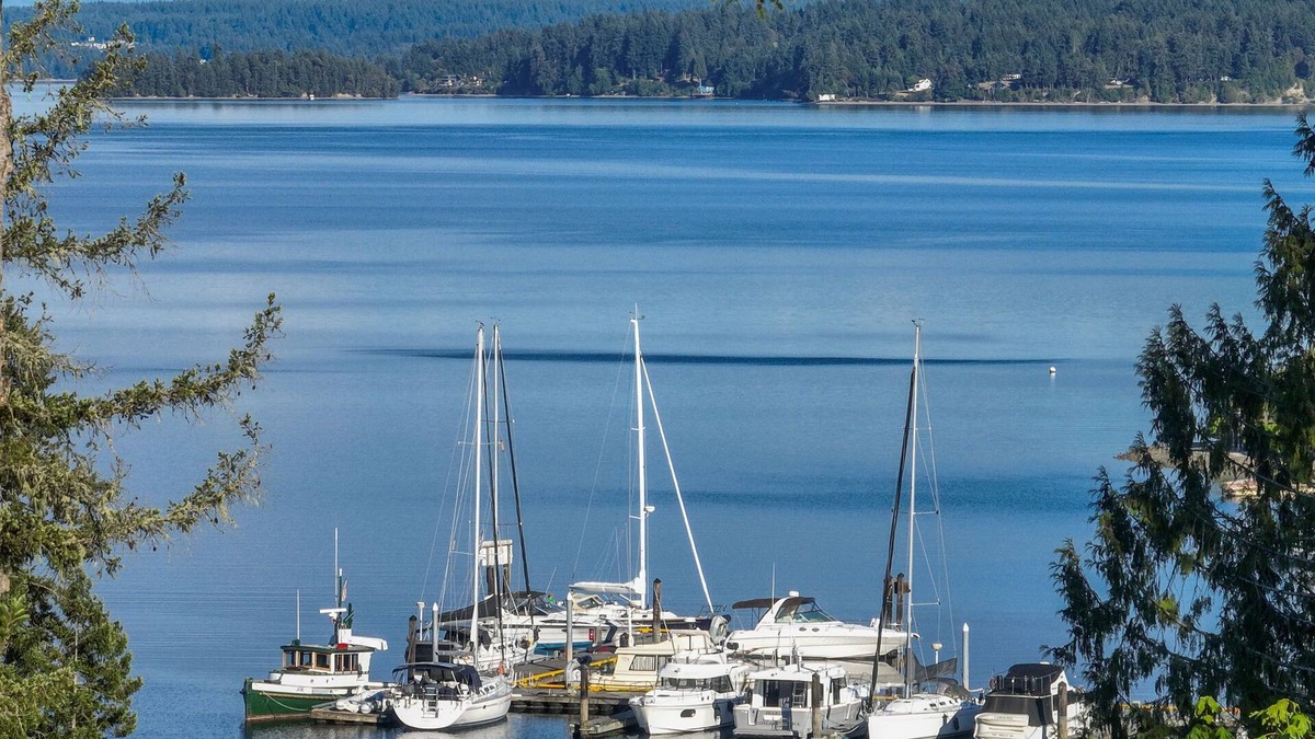 Longbranch House | Pet/Family Friendly Getaway w/Rainier and Marina Views Spacious Outdoor Space