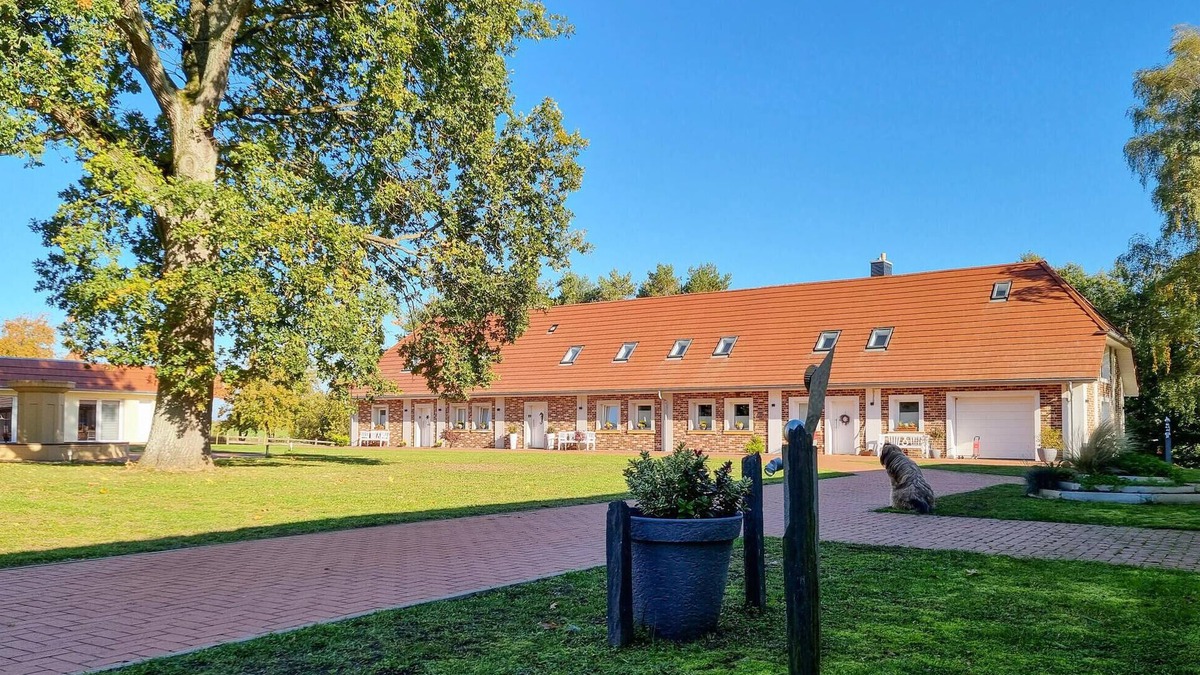 Passow Apartment | Pet friendly apartment