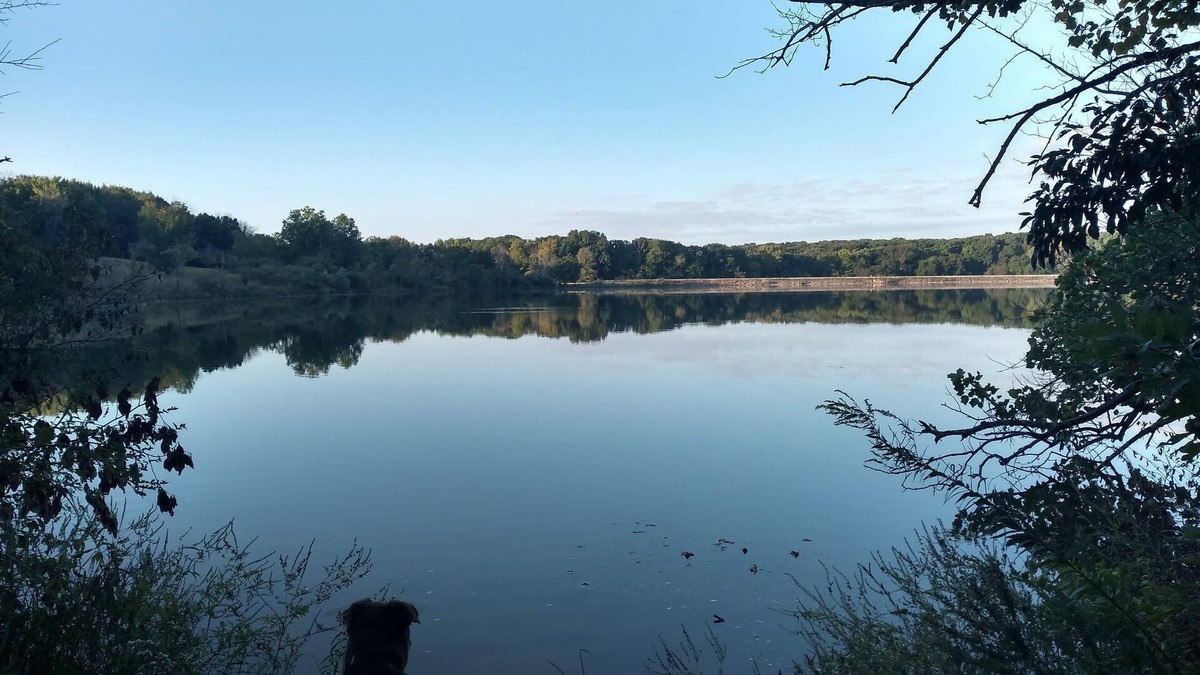Ellsworth Cabin | Pet Friendly A-Frame Cabin @ Dawson Lake/Moraine View State Park