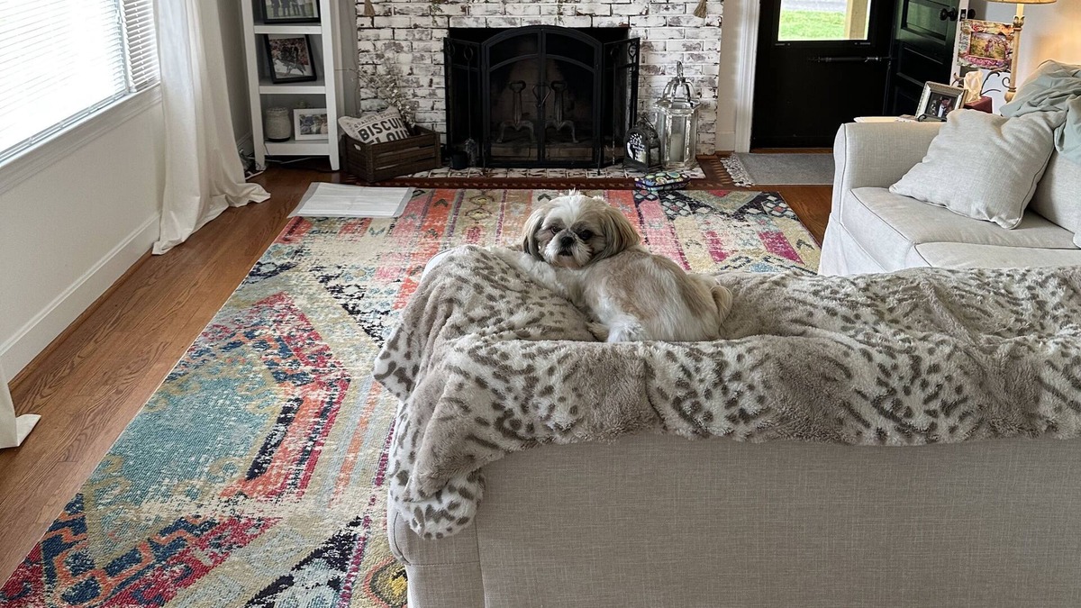 Ararat House | Pet friendly, Feel at home farmhouse with large deck. 15 minutes to downtown.