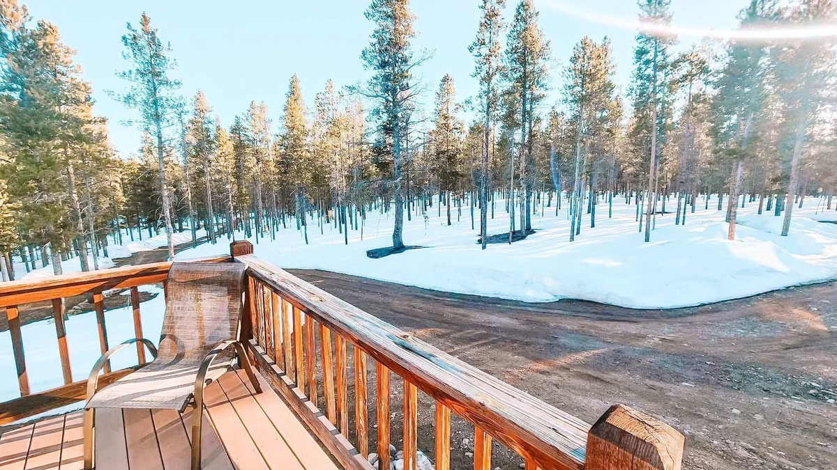 Leadville House | Pet Friendly Mtn Cabin on 40 Acres 2 King Beds