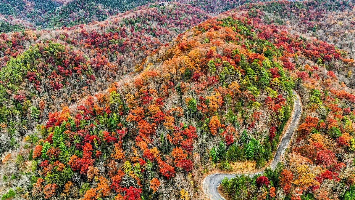 Gatlinburg - Pigeon Forge Cabin | Pet-Friendly Smoky Mtn Lodge Hot Tub Views