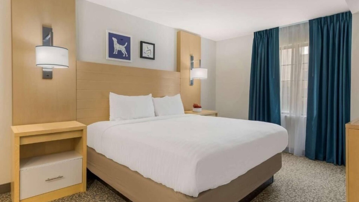 Arrowood Hotel | Pet Friendly Stylish Suite with Apartment-Style Comfort Near Charlotte Hotspots