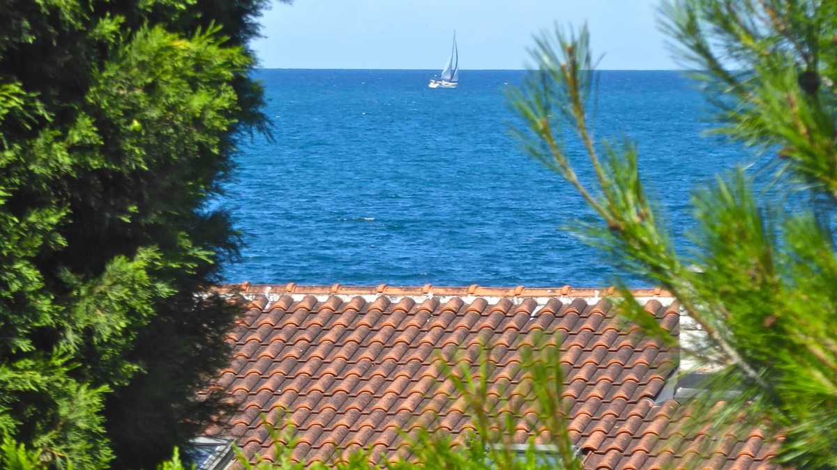 Dajla House | Pet-friendly vacation home by the sea, flash promotion until Sept. 30th 15% discount