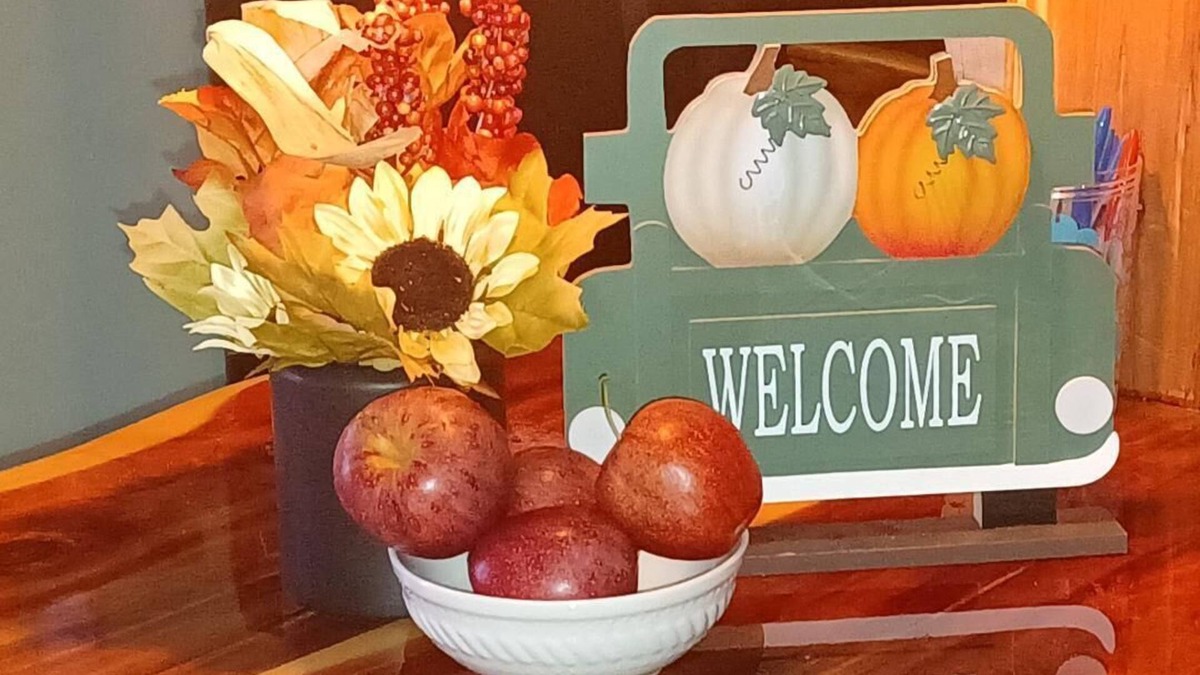 Fordland Apartment | Pet Welcoming studio!