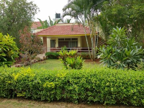 Yelagiri Resort | Peters Park