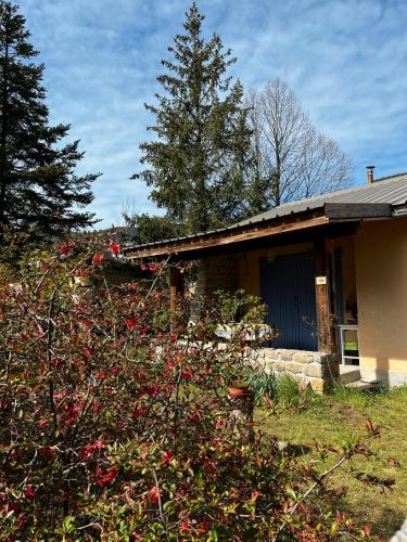 Thorame-Basse House | Petit Chalet De Montagne