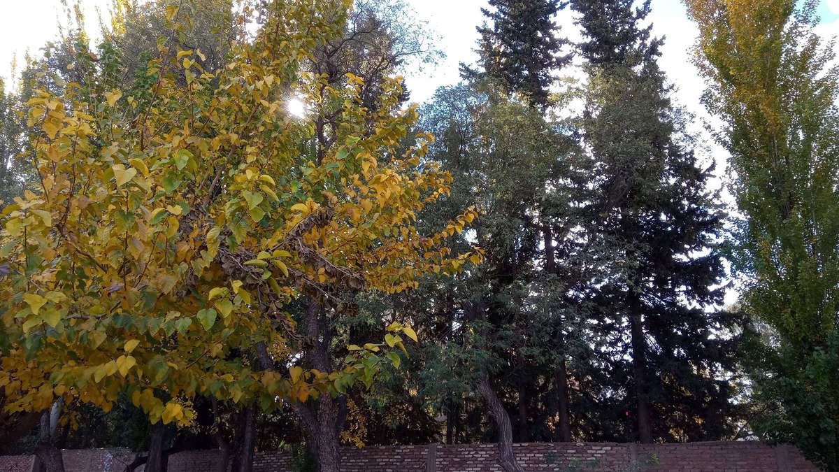 Maipu Apartment | Petit Chateau J&sr En la Ruta del Vino y la Aceituna, Maipu,mza, Argentina