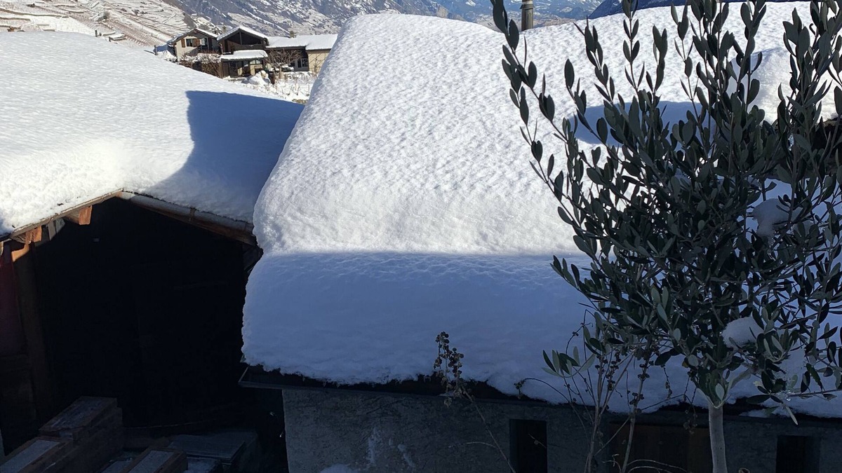 Martigny-Combe Ski Chalet | Petit Mazot au Milieu des Vignes à Plan Cerisier