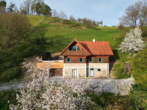 Fresing House | Pettinger Stöckl