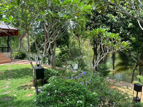 Kaeng Krachan House | PhuMan Resort & Cafe Phetchaburi