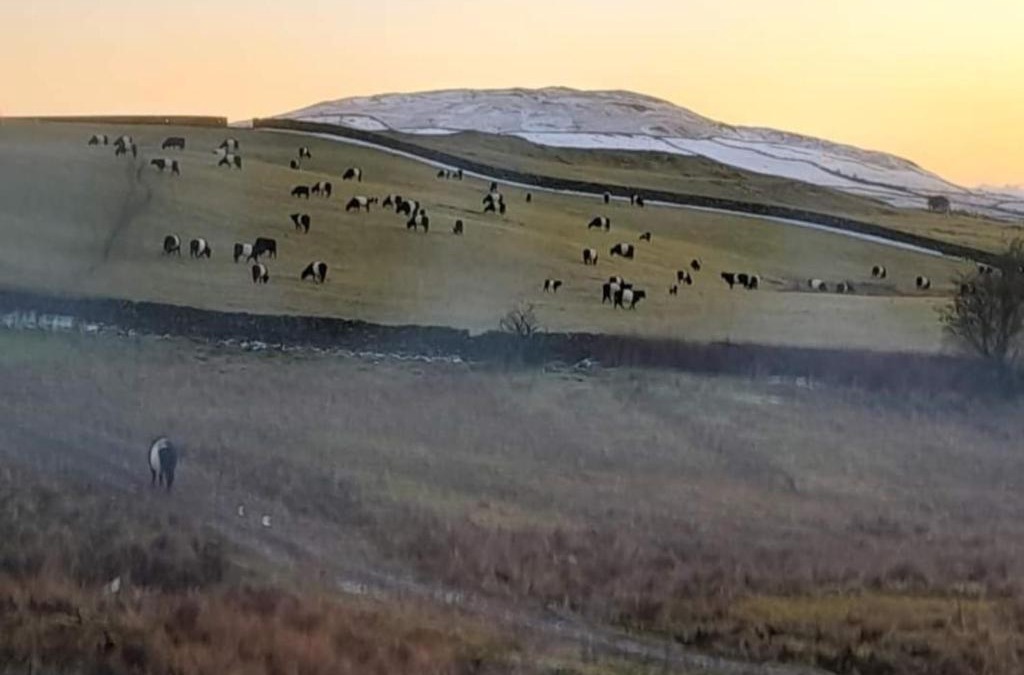 Newton Stewart House | Pibble Cottage