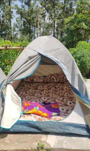 Paderu Other | Pickurstay vbss camping hub