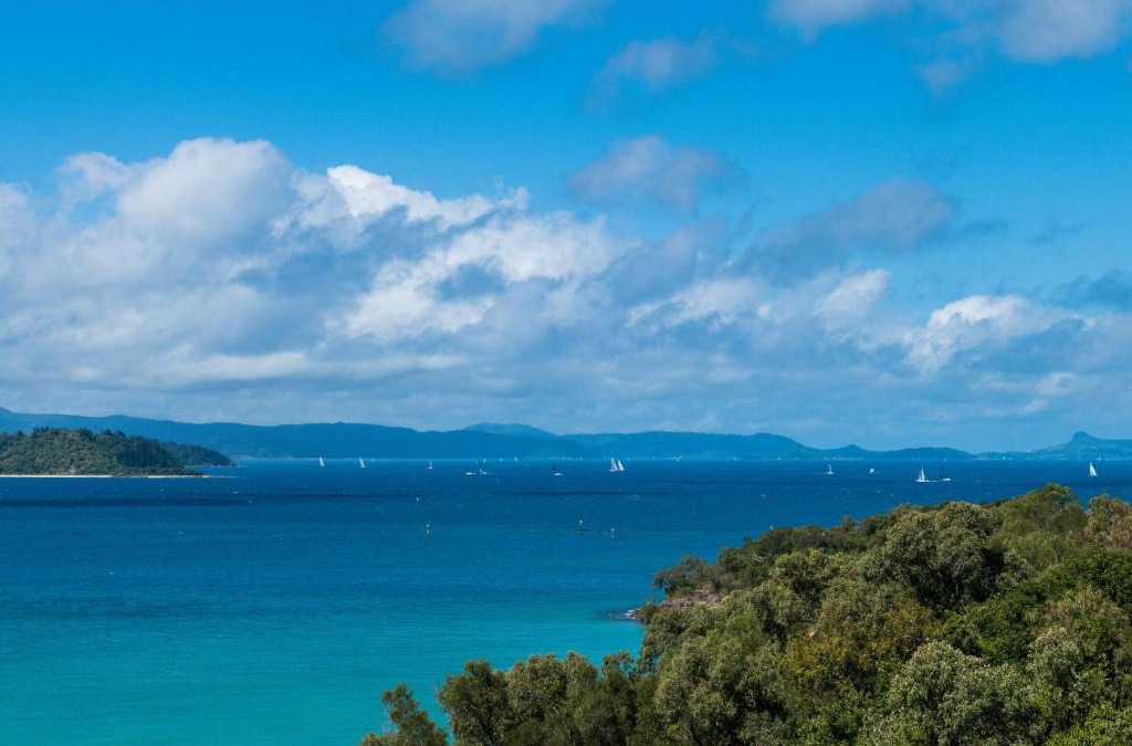 Shute Harbour House | Picturesque on Passage - Shute Harbour