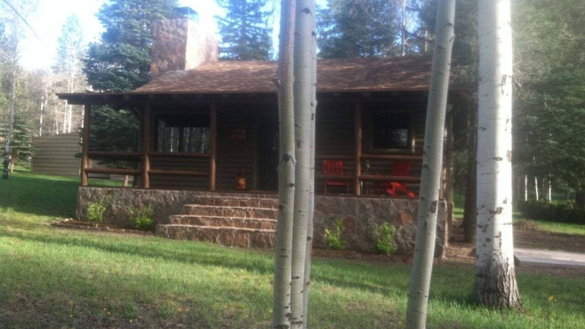 Alpine Cabin | Picturesque retreat inspired by Thomas Kinkade, situated on 1.5 acres!