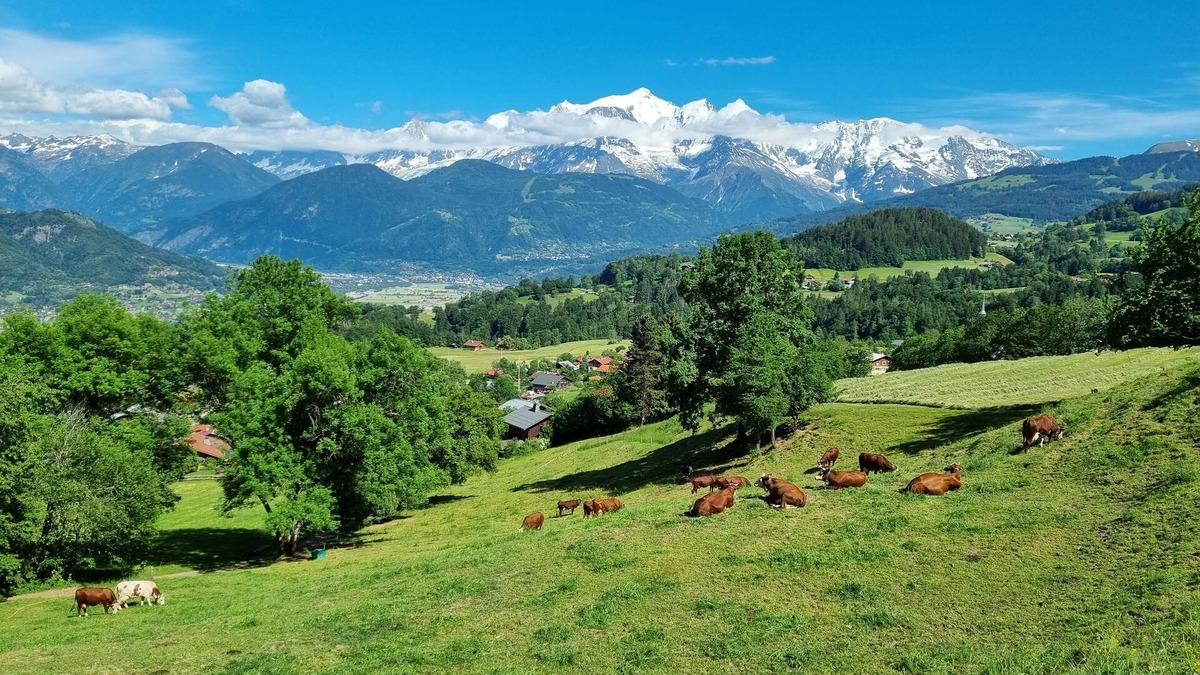 Cordon Apartment | Picturesque village known as the Balcony of the Mont Blanc Massif