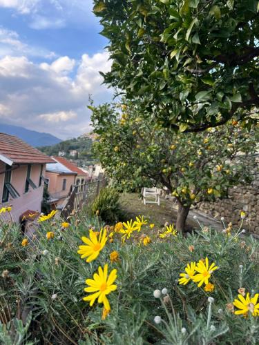 Castellaro Apartment | Piera's House