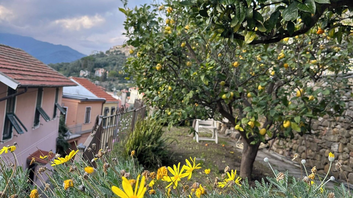 Castellaro Apartment | Piera's House: relaxation, hill, view