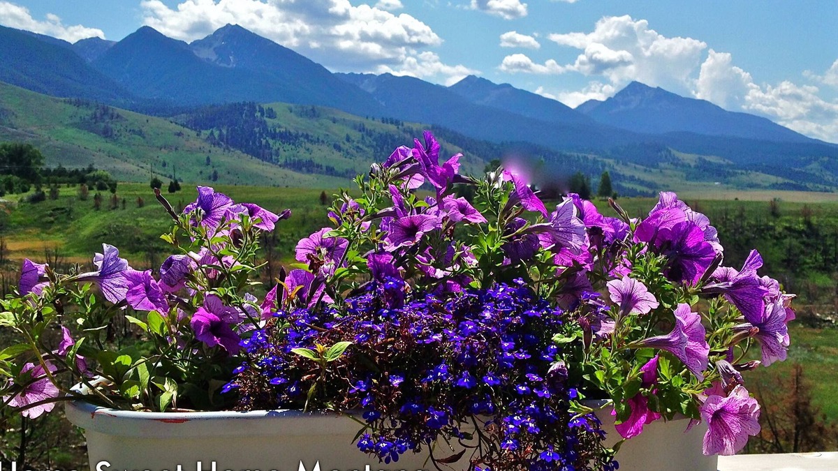 Livingston House | Pine Creek Home With Yellowstone River Fishing Access