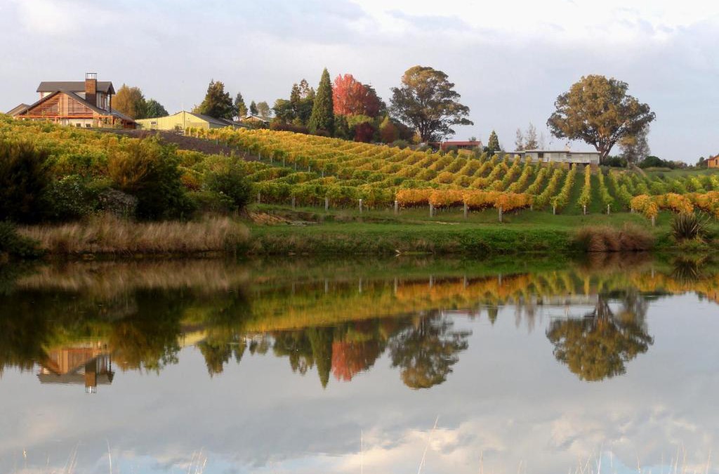 Ruby Bay Bed & Breakfast | Pine Hill Lodge In Vineyard