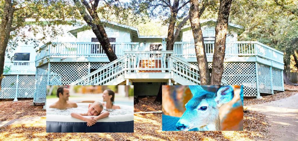 Julian Villa | Pine Hills Cabin in Julian