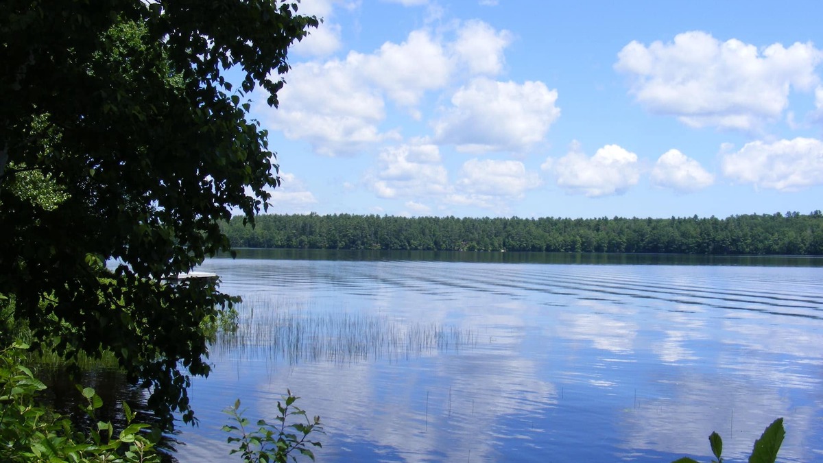 Damariscotta Cottage | Pine Knoll Cottage - Scenic cottage on Pemaquid Lake