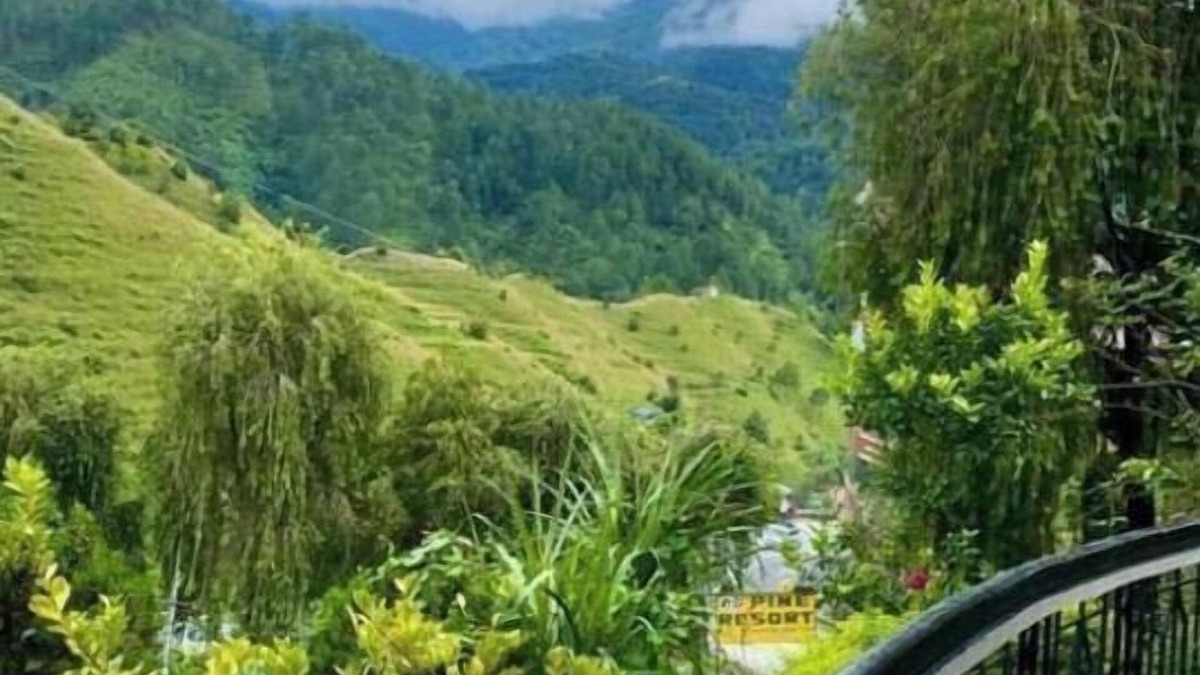 Pithoragarh Hotel | Pine Resort