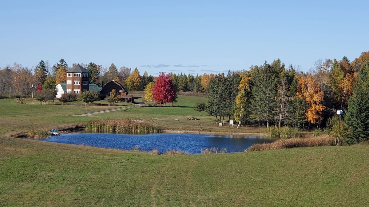 Menominee Cabin | Pinewoods Springs Lodge with Tower, 240 forested acres & 1 acre Pond