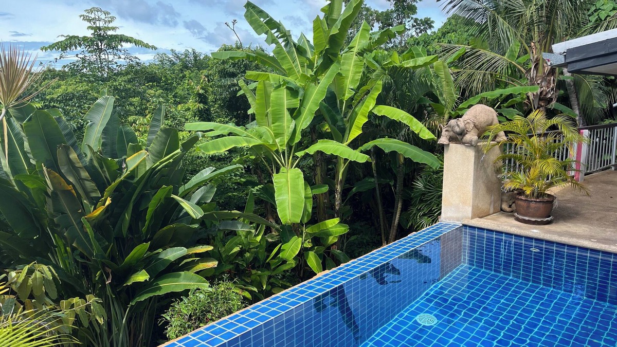 Maret House | PINK HOUSE