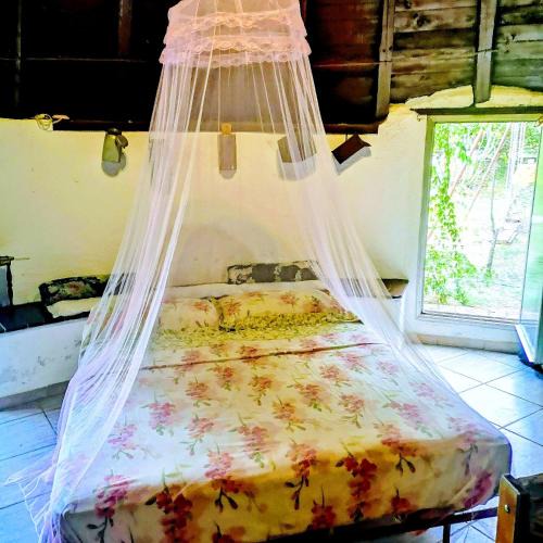 Oliena Apartment | Pinnettu sardo tipica abitazione sarda in ecosistema insetti e animaletti simpatici in condivisione bagno esterno a 10metri Leggere attentamente Prima di prenotare