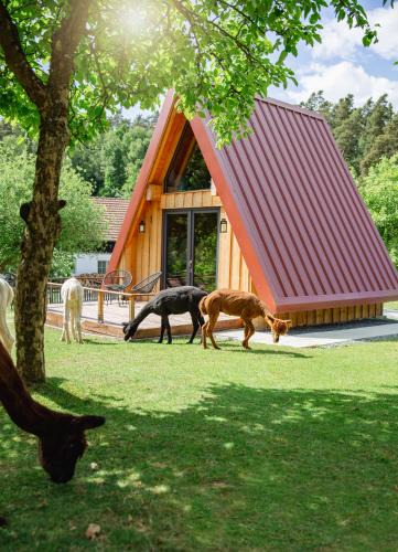 Pirk Ski Chalet | Pirker Anden Chalet