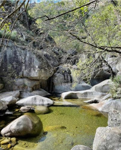 Covilha Apartment | Piscinas, Serra da Estrela AL