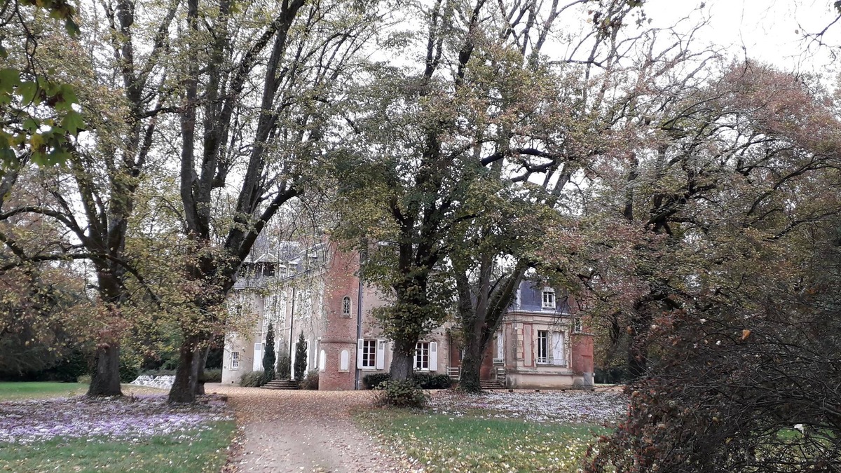 Ourouer-les-Bourdelins Other | Plaisant family castle in 8 ha garden (9 Rooms, 6 baths)