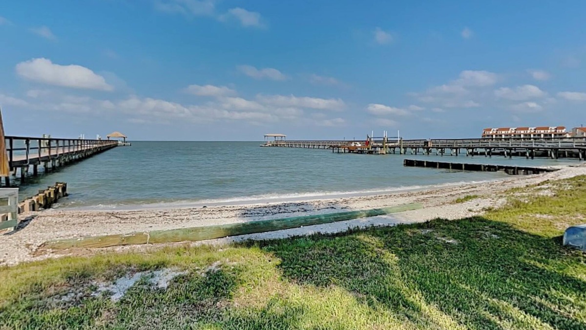 Harbor Oaks House | Playa Verde | Pet-Friendly + Easy Access to the Bay!