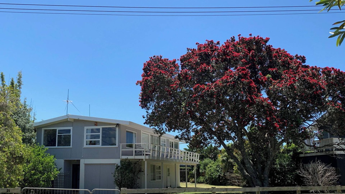 Matapouri House | Playtime Plus - Matapouri Holiday Home