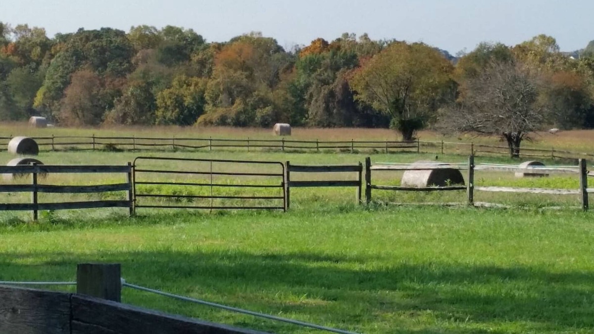 Darnestown Other | Pleasant Hills Farm Stargazer Farmstay