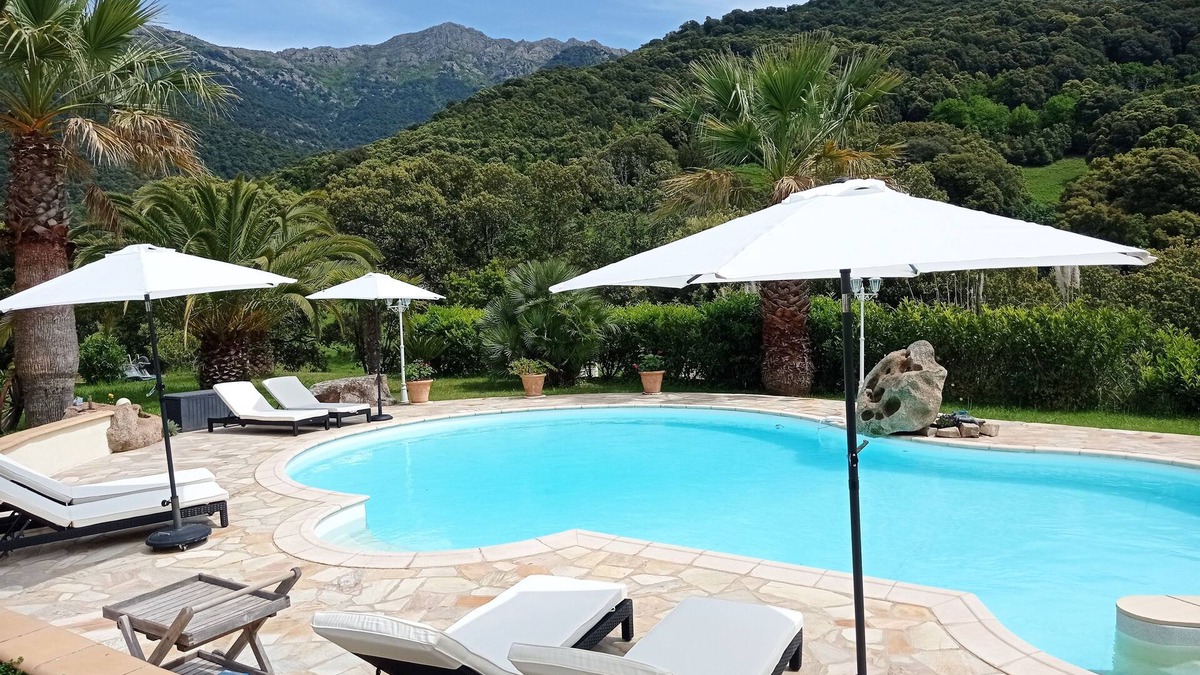 Bastelica House | Pleasant new studio with swimming pool near Ajaccio and Porticcio