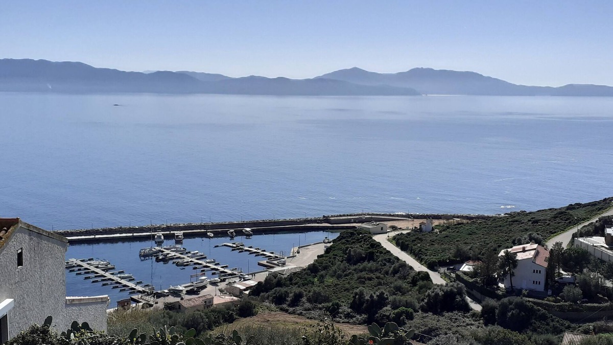 Cargese Apartment | Pleasant studio with mezzanine, magnificent view of the Port of Cargèse