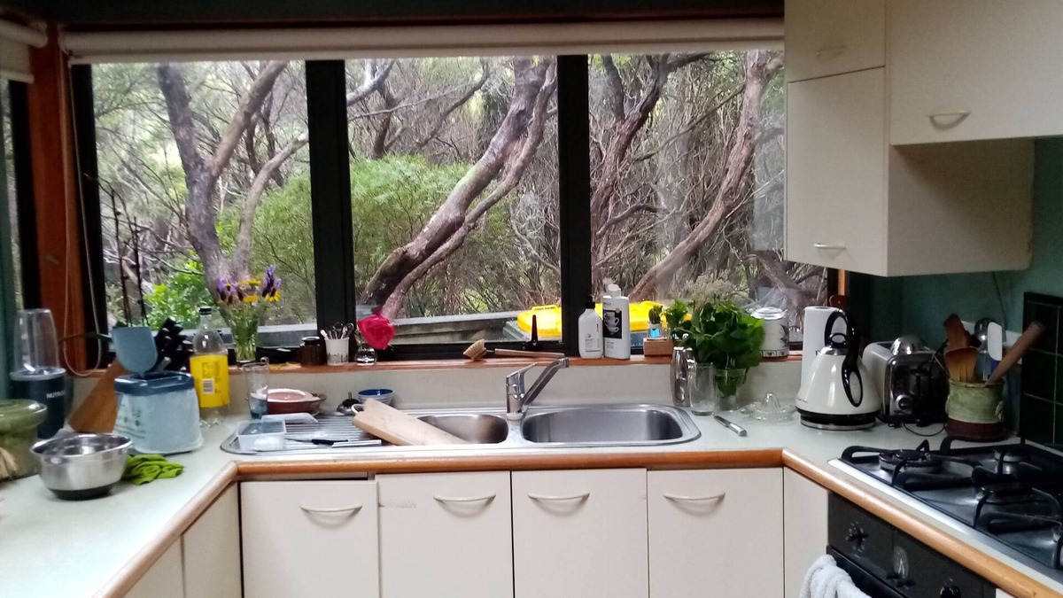 Plimmerton House | Plimmerton Tree Top house (one of two on hillside) - surrounded in manuka forest