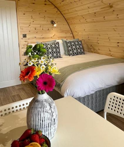 Easkey Ski Chalet | Plumgrove Pod Easkey